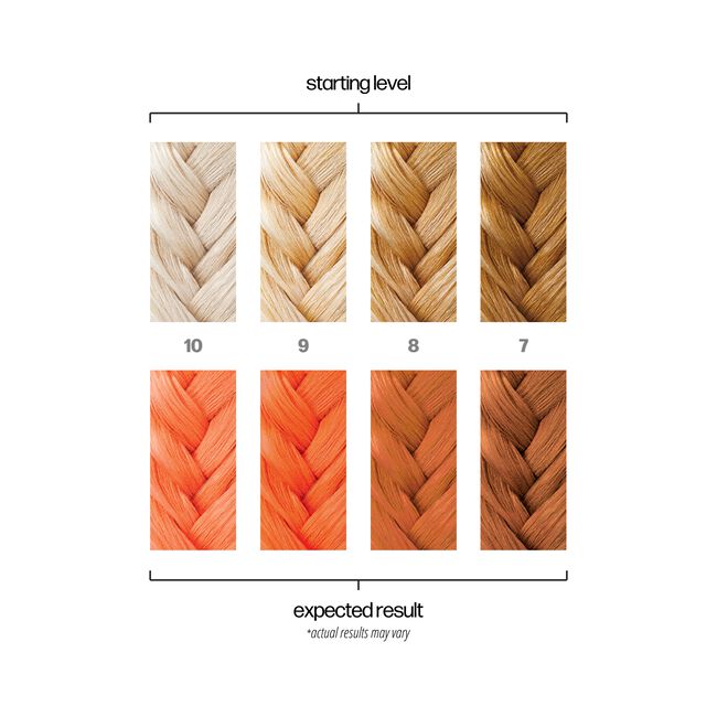 Hair color chart showing starting levels and expected results with braided hair samples.