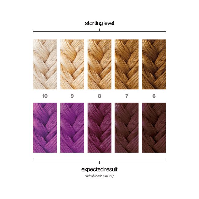 Hair color chart showing starting levels and expected results with braided hair samples.