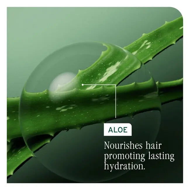 Close-up of an aloe vera leaf with a droplet of aloe vera gel on a green background.