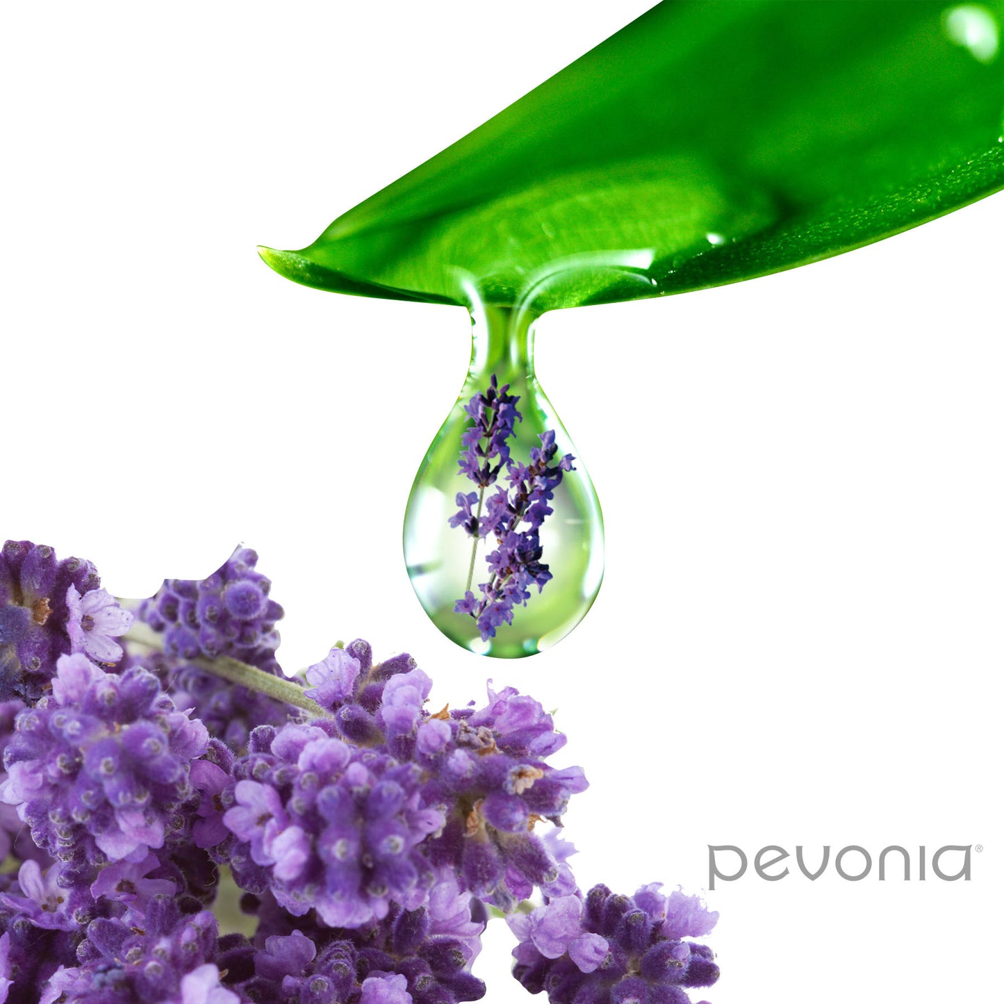 Pevonia Soothing Propolis Concentrate