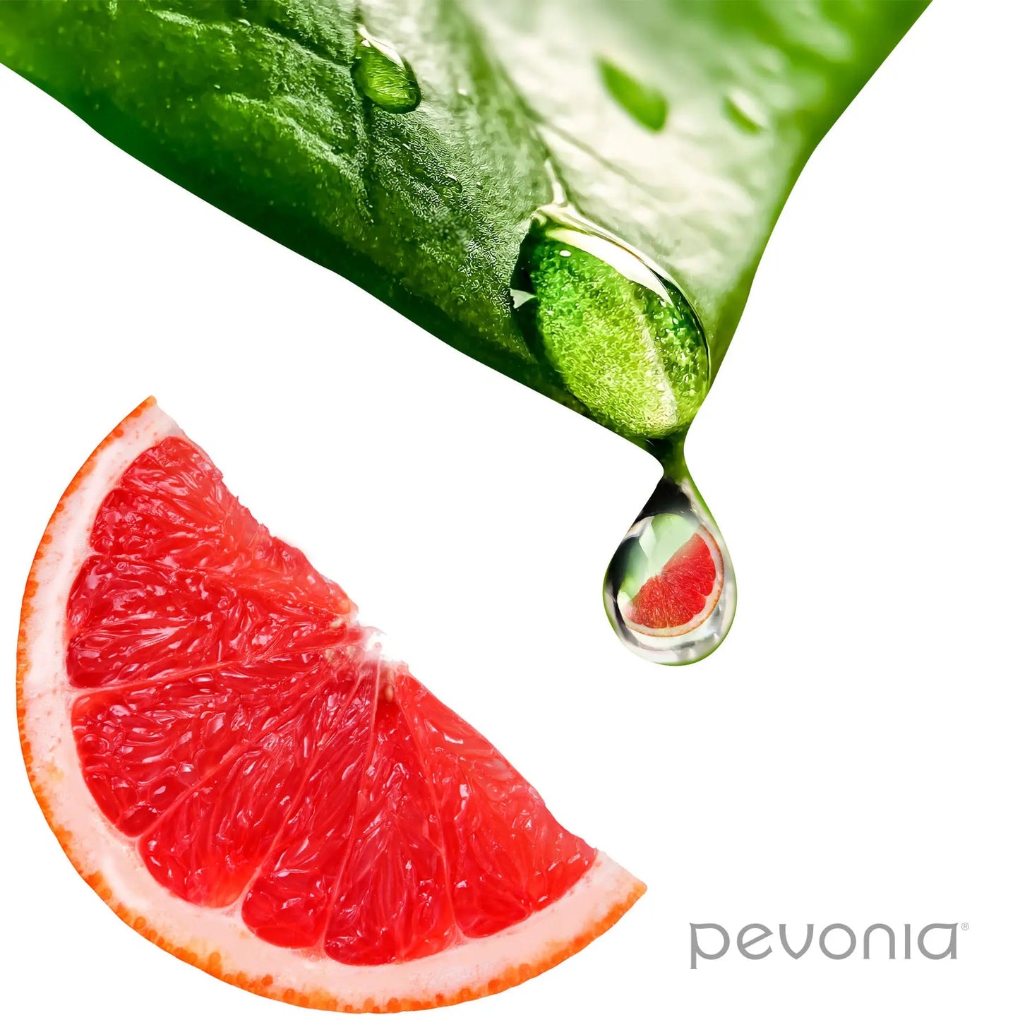 Close-up of a green leaf with a drop of water on a red grapefruit slice, featuring the Pevonia brand.