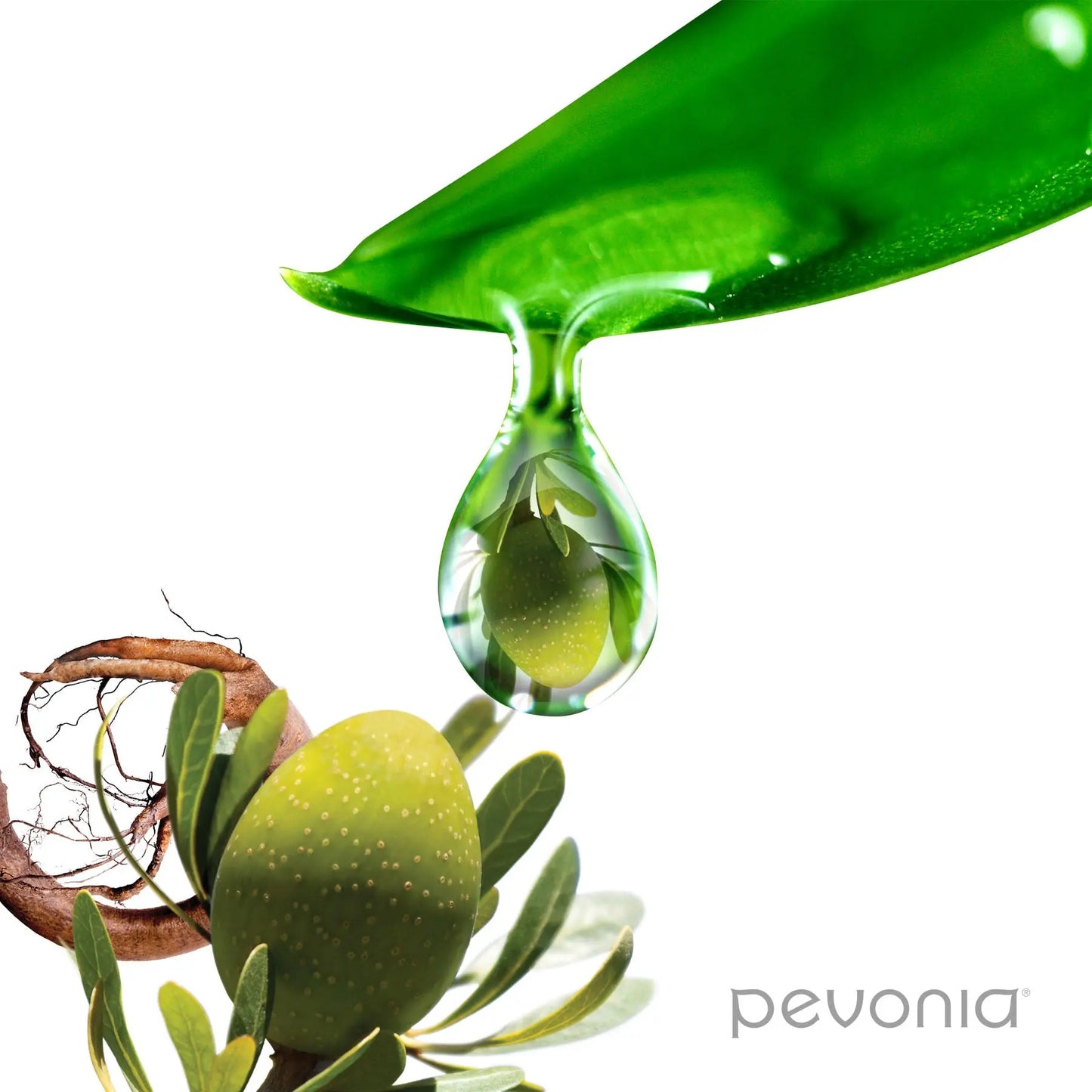 Pevonia Stem Cells Phyto Elite Intensive Serum Pevonia