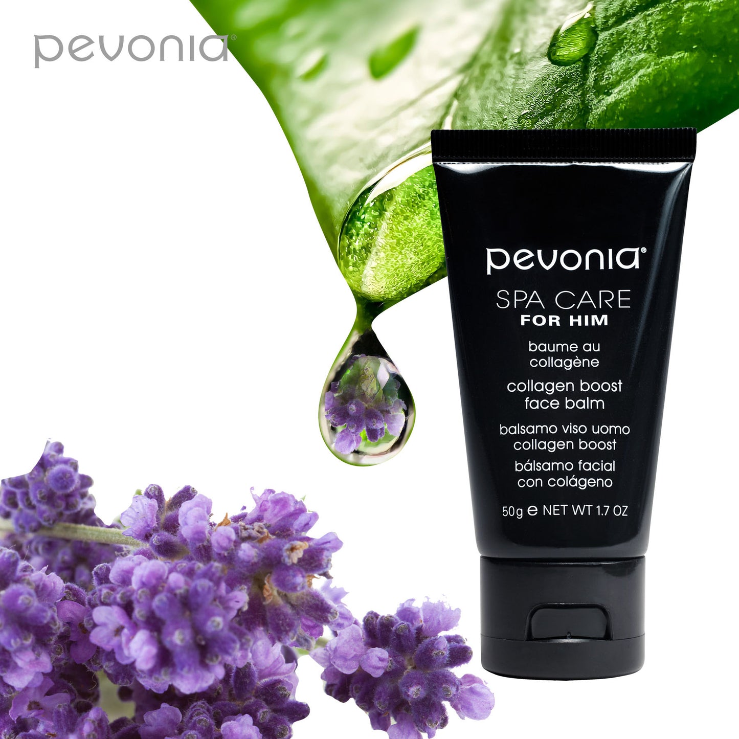 Pevonia Spa Care for Him collagen boost face balm with green leaves and purple flowers on a white background