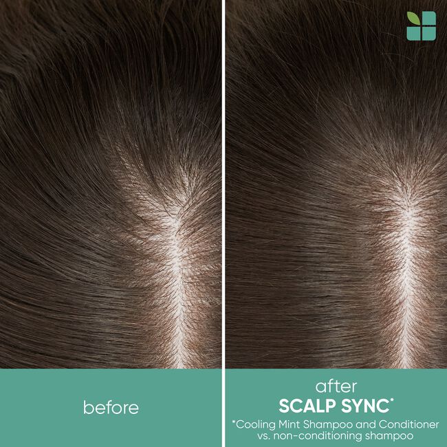 Scalp Sync Cooling Mint Shampoo
