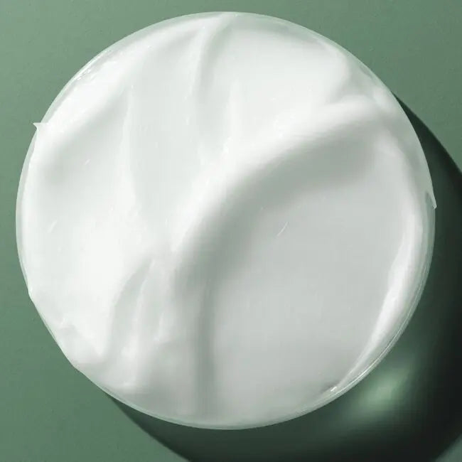 White ceramic plate on a green background