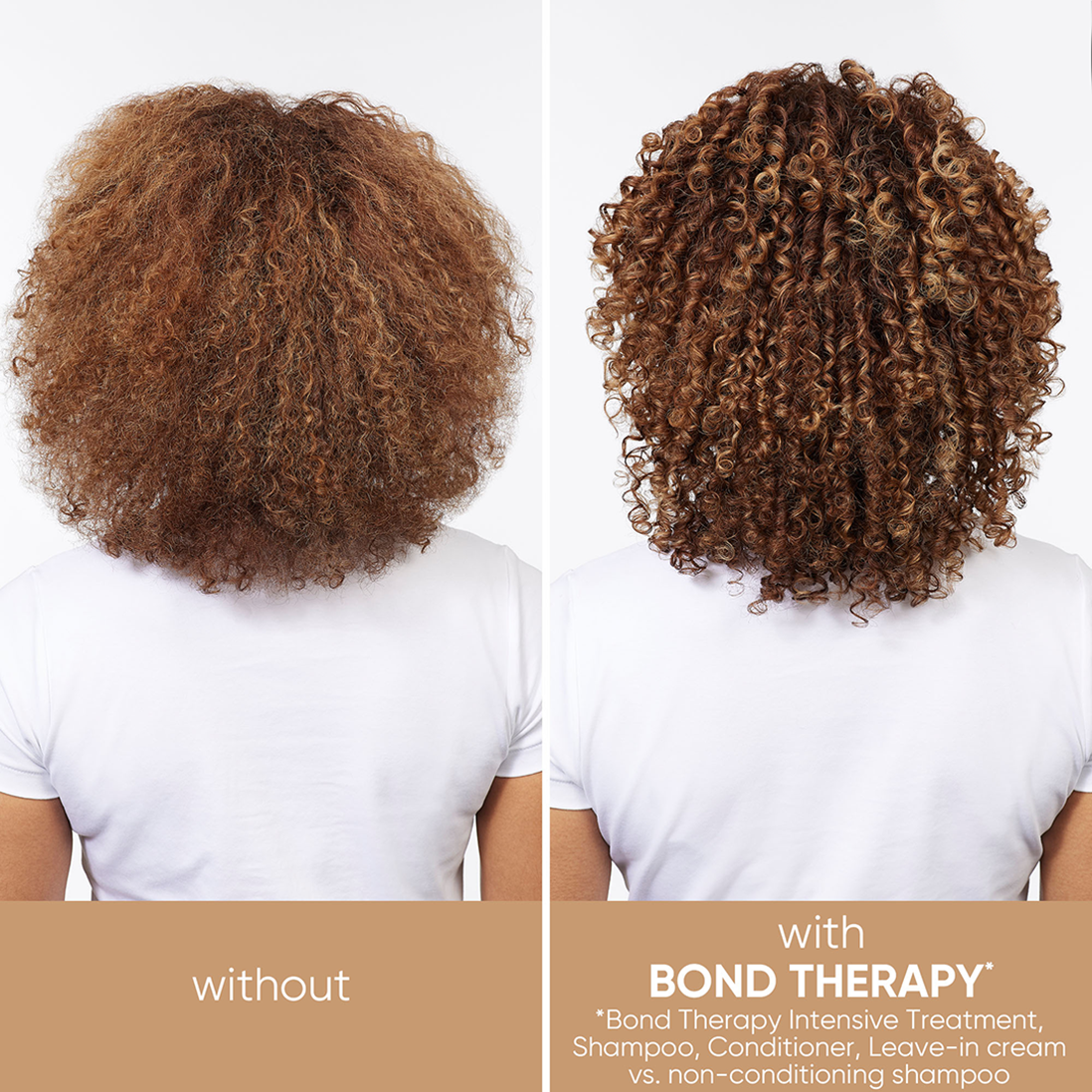 Biolage Bond Therapy Before After Image