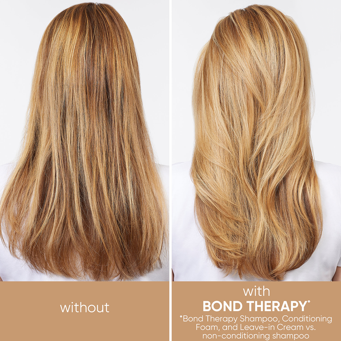 Biolage Bond Therapy Before After Image