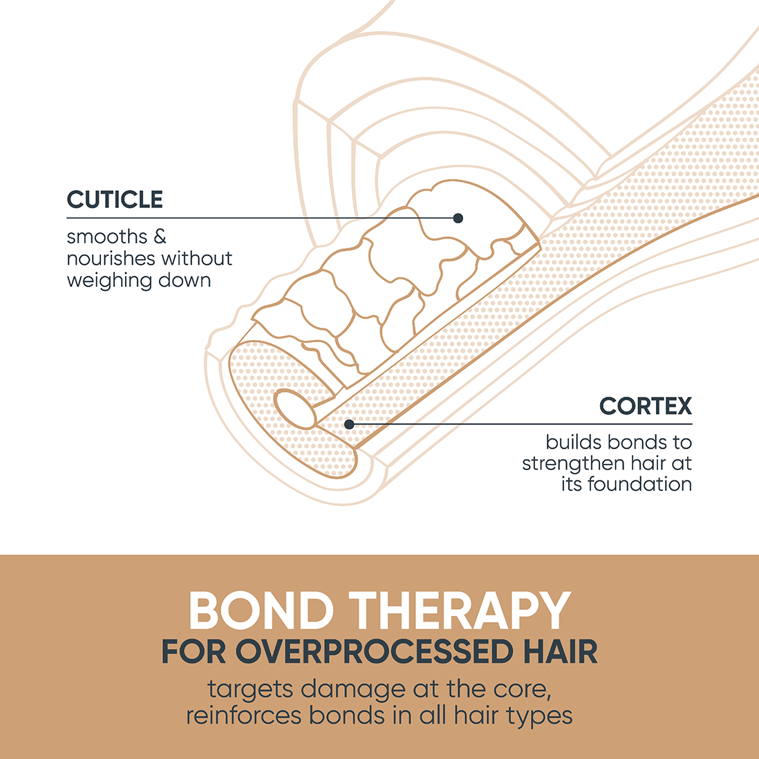 Biolage Bond Therapy Science
