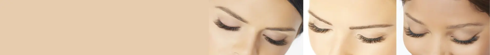Eyelash & Brow Services