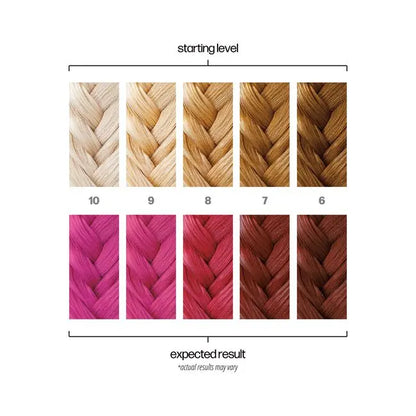 Hair color chart showing starting levels and expected results with braided hair samples.