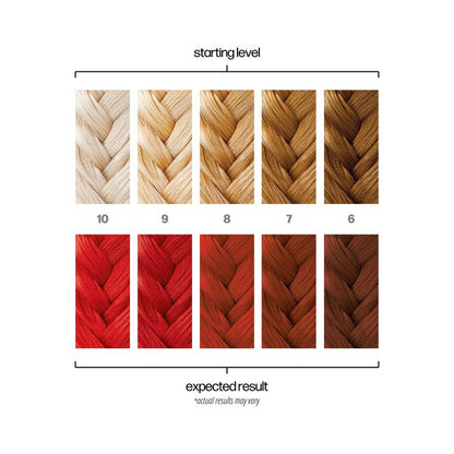 Hair color chart showing starting level and expected result with braided hair samples.