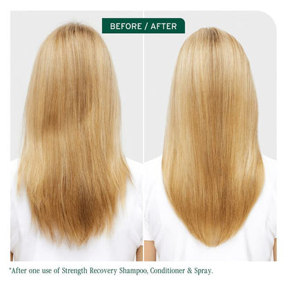 Biolage Strength Recovery Repairing Spray