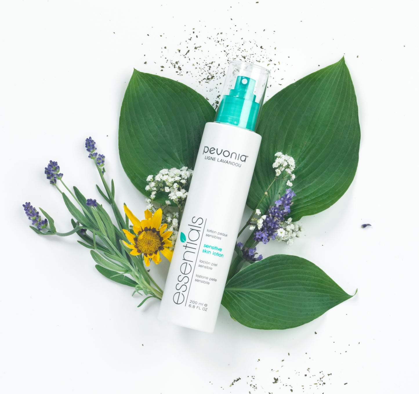 Pevonia Sensitive Skin Lotion (Toner)
