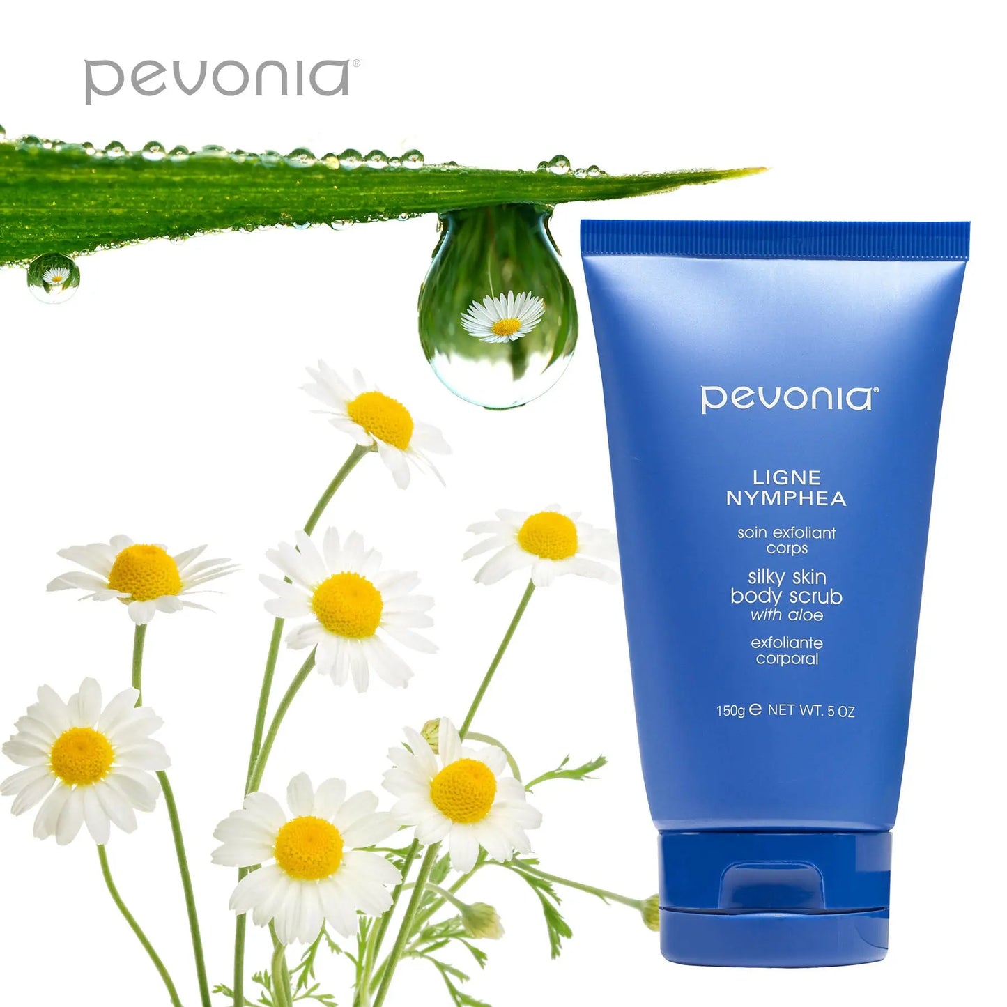 Pevonia body scrub with daisies and a leaf on a white background