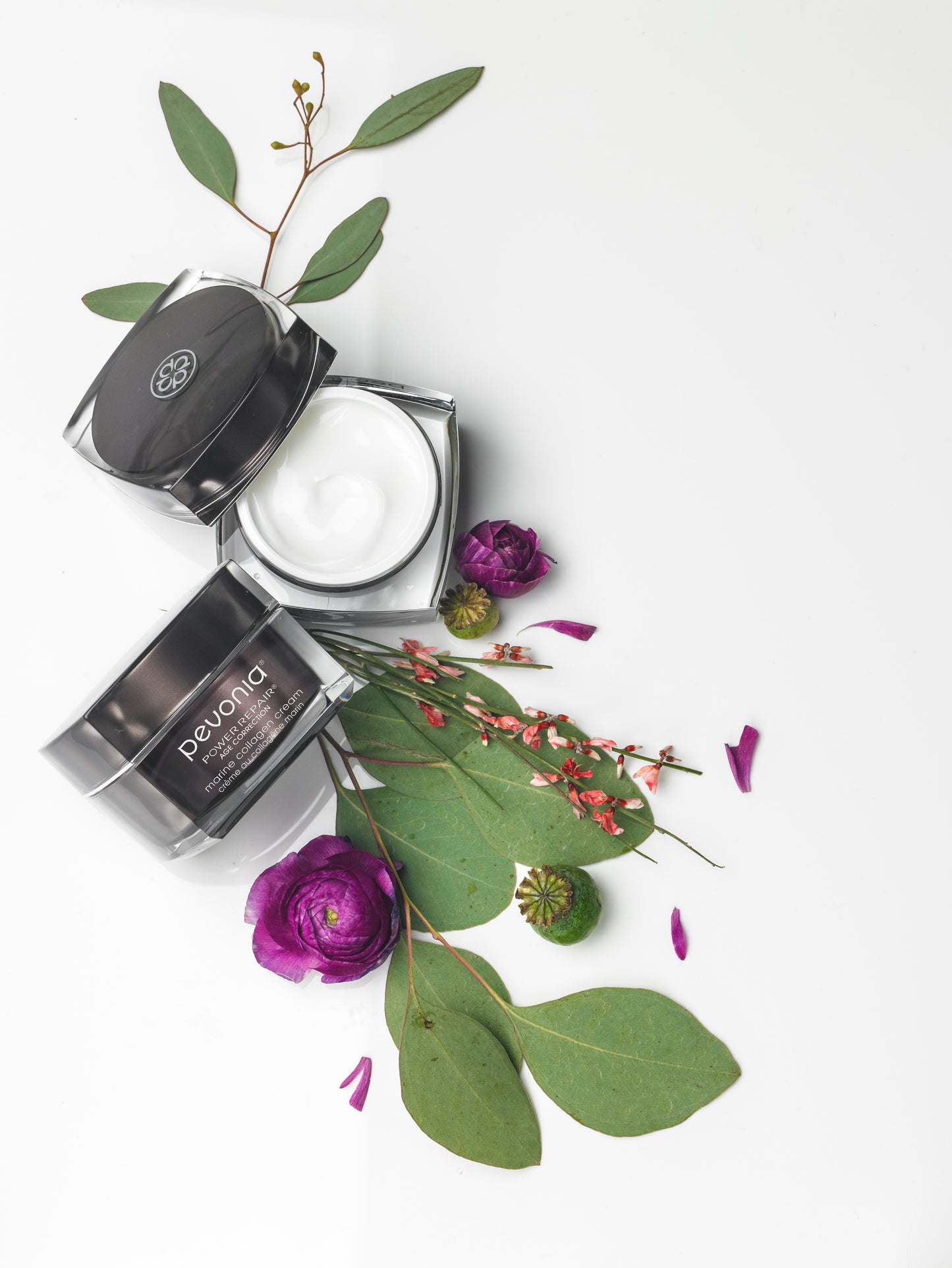 Cosmetic jars with green leaves and purple flowers on a white background