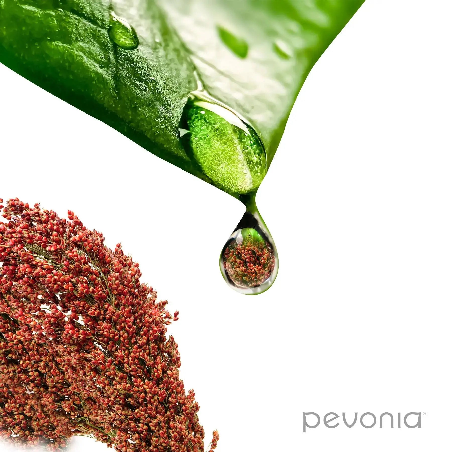 Pevonia Lumafirm Body Moisturizer - Firm & Glow Pevonia