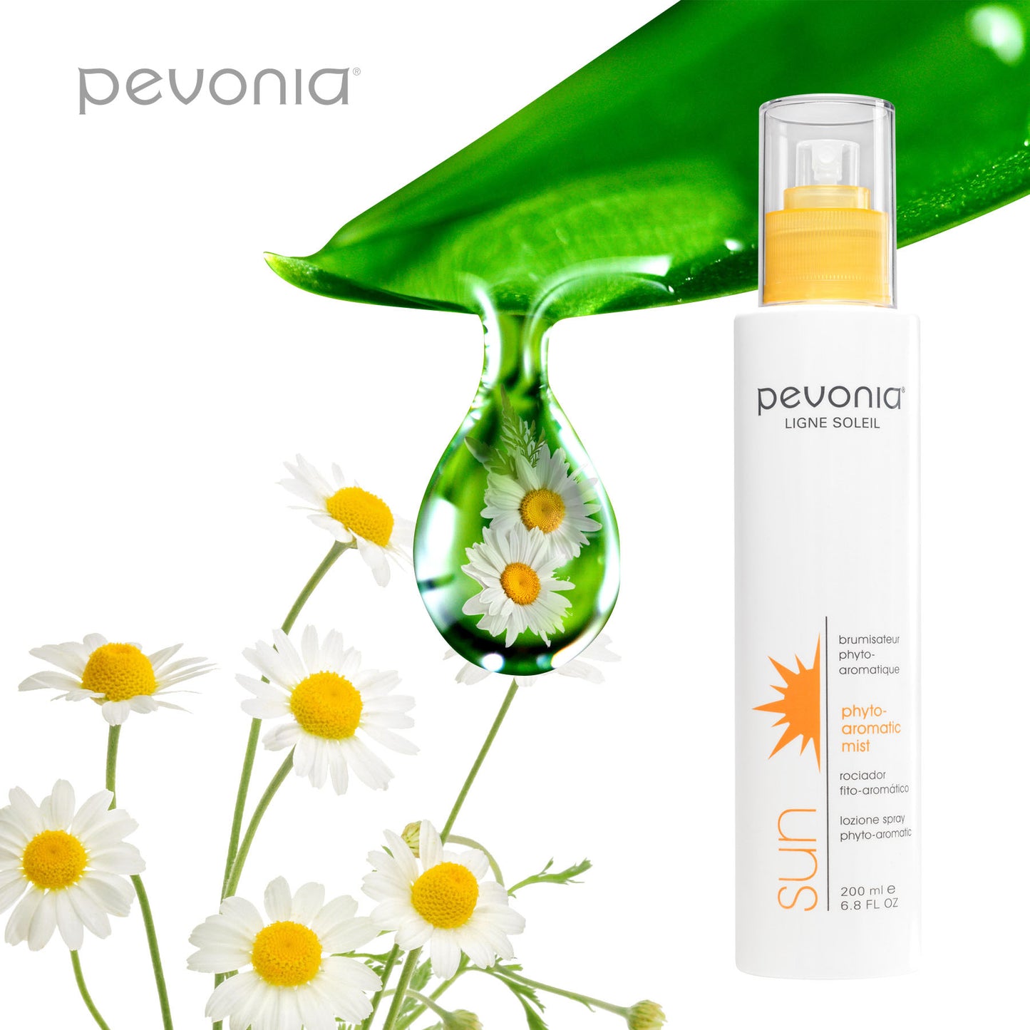 Pevonia bottle with daisies and green leaf on a white background