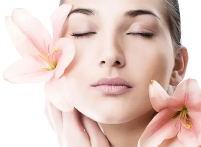Waxing Service: Full Face