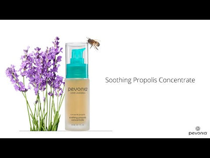 Pevonia Soothing Propolis Concentrate